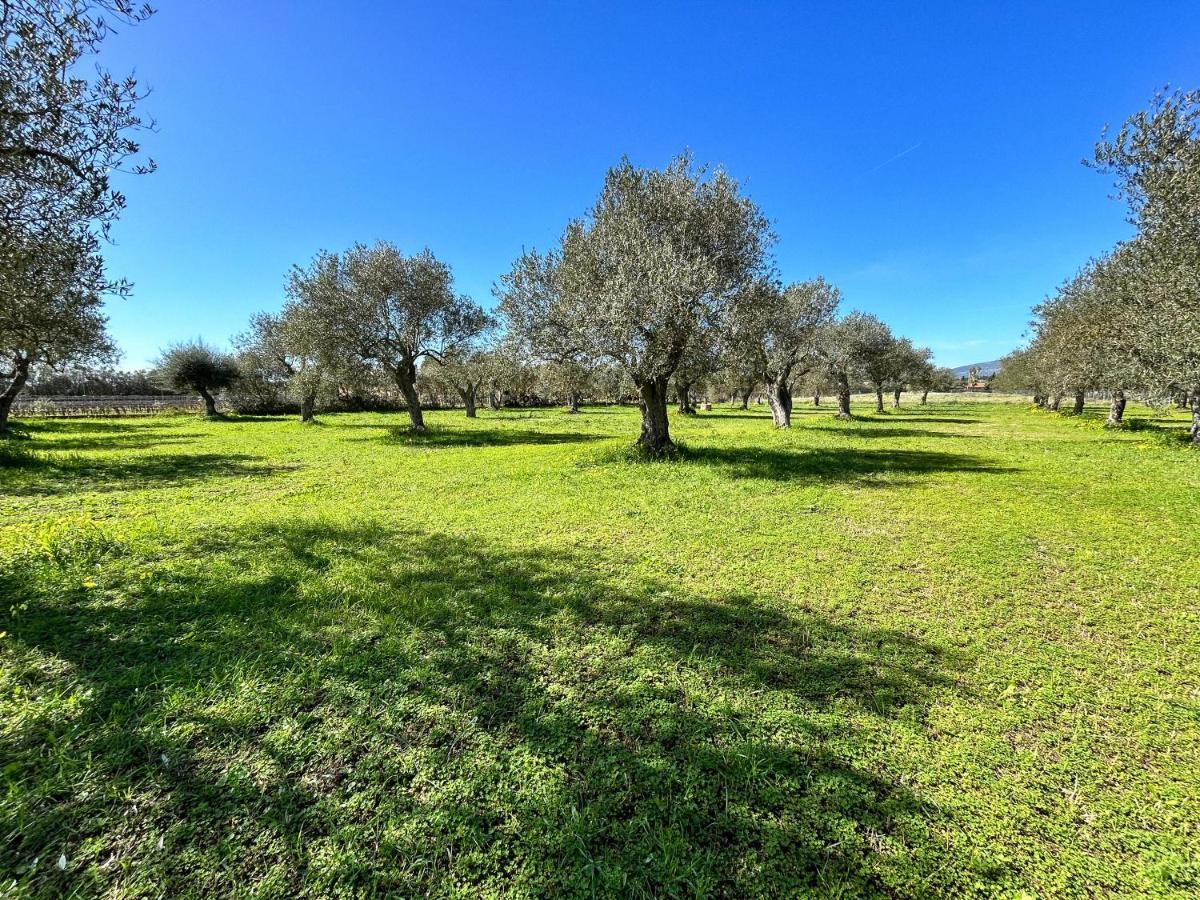 Casa Del Mate Villa Alghero Luaran gambar