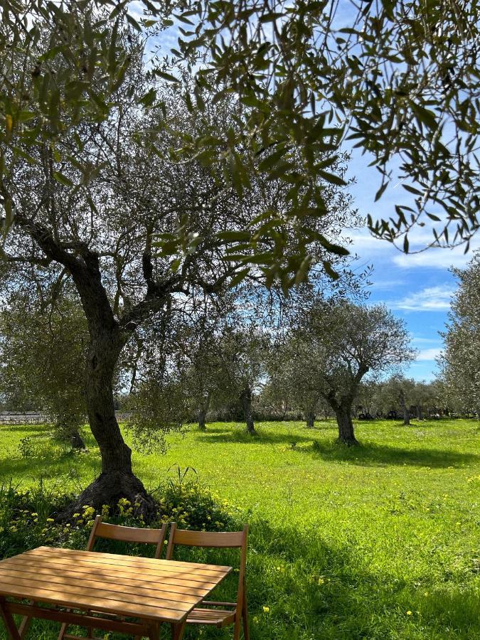 Casa Del Mate Villa Alghero Luaran gambar